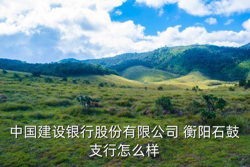 建行在湖南衡陽有多少個網(wǎng)點