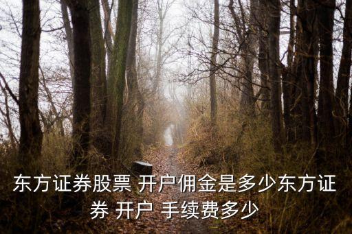 網(wǎng)上開戶的手續(xù)費(fèi)是多少,國(guó)金證券網(wǎng)上開戶手續(xù)費(fèi)