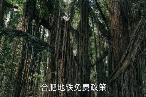 合肥公交卡優(yōu)惠多少,合肥電子公交卡有優(yōu)惠嗎