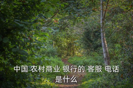 農(nóng)村信用社銀行客服電話是多少錢,廣西農(nóng)村信用社銀行客服電話955