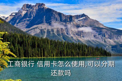 工行信用卡能分多少期