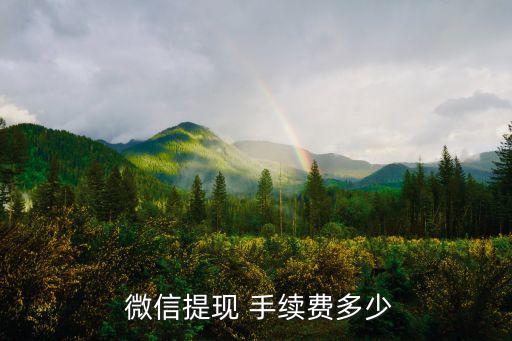  微信提現 手續(xù)費多少
