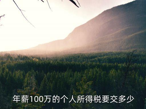 年薪一百萬繳稅多少錢,繳稅9000元年薪多少