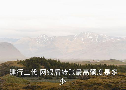 建行的網(wǎng)銀盾多少錢,建行網(wǎng)銀盾登錄