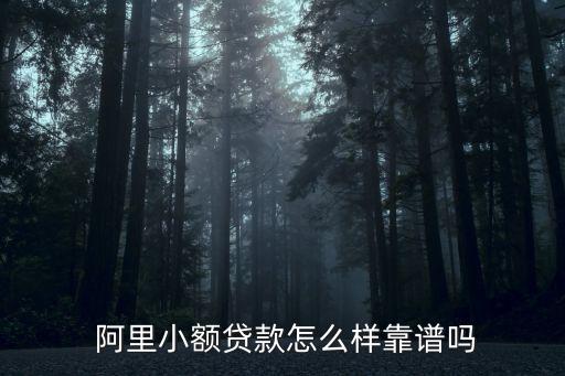  阿里小額貸款怎么樣靠譜嗎