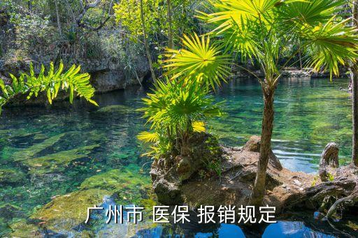 廣州市 醫(yī)保 報(bào)銷(xiāo)規(guī)定