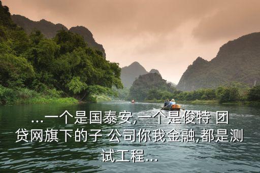 ...一個(gè)是國泰安,一個(gè)是俊特 團(tuán)貸網(wǎng)旗下的子 公司你我金融,都是測試工程...
