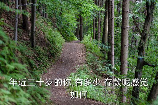 年近三十歲的你,有多少 存款呢感覺如何
