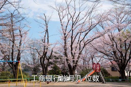 賬號一般多少位數(shù),中國建設(shè)銀行賬號有多少位數(shù)