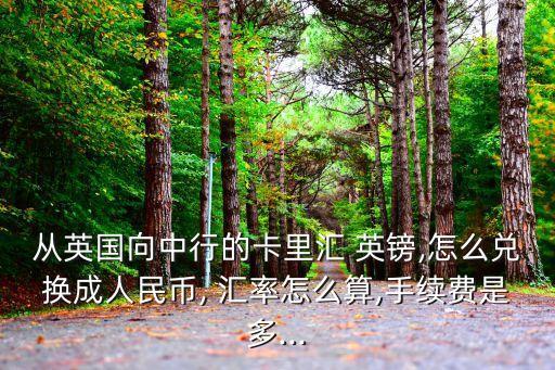 英鎊刷卡匯率多少錢,pos機(jī)刷卡匯率多少