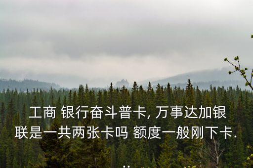  工商 銀行奮斗普卡, 萬事達加銀聯(lián)是一共兩張卡嗎 額度一般剛下卡...