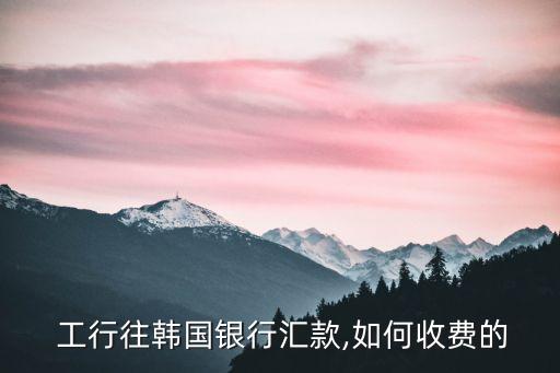 工行轉(zhuǎn)外匯手續(xù)費是多少錢,工行外匯手續(xù)費怎么收取的