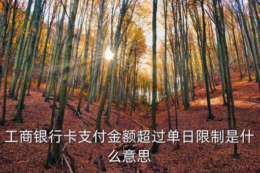 工商銀行卡支付金額超過單日限制是什么意思