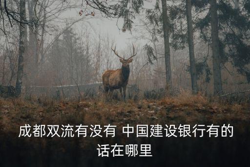 成都中國建設(shè)銀行支行電話號碼是多少,中國建設(shè)銀行龍華支行電話號碼