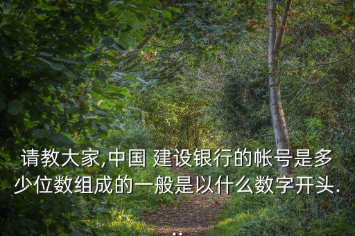 建設(shè)銀行企業(yè)賬號多少位,企業(yè)建設(shè)銀行賬號幾位數(shù)