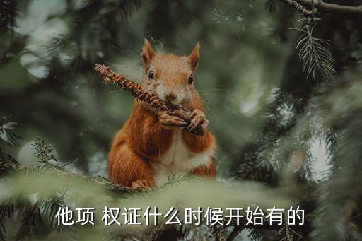 房產(chǎn)證抵押多少時(shí)間出它項(xiàng)權(quán)證