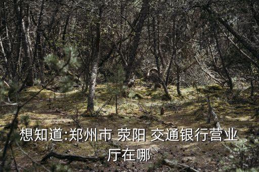 想知道:鄭州市 滎陽 交通銀行營業(yè)廳在哪