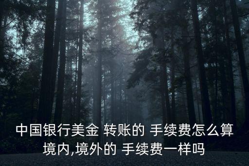 中國銀行美金 轉(zhuǎn)賬的 手續(xù)費(fèi)怎么算境內(nèi),境外的 手續(xù)費(fèi)一樣嗎