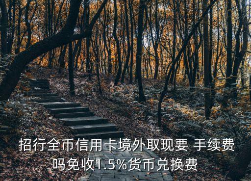 招行visa卡手續(xù)費(fèi)多少,招行全幣種visa卡手續(xù)費(fèi)
