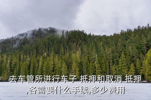 去車管所進(jìn)行車子 抵押和取消 抵押,各需要什么手續(xù),多少費(fèi)用