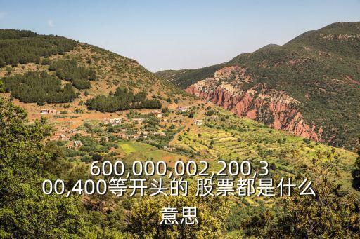 600,000,002,200,300,400等開頭的 股票都是什么意思