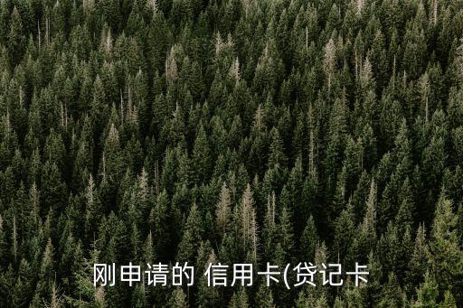 剛申請的 信用卡(貸記卡