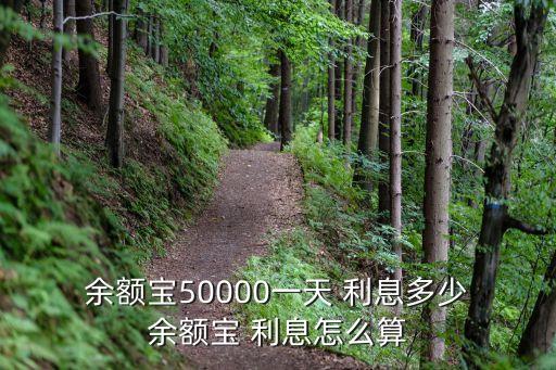 余額寶存5萬一天利息是多少錢
