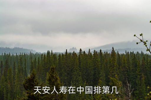 天安保險凈資產(chǎn)多少