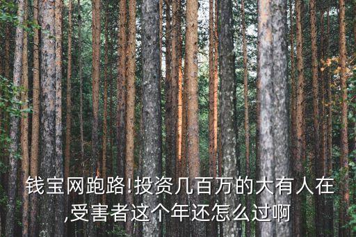  錢寶網(wǎng)跑路!投資幾百萬的大有人在,受害者這個年還怎么過啊