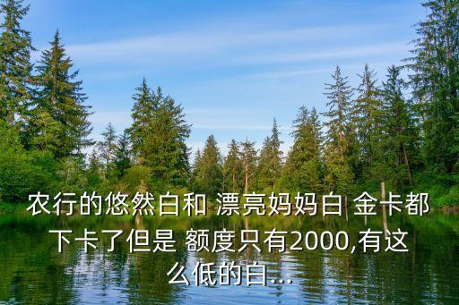 農(nóng)行的悠然白和 漂亮媽媽白 金卡都下卡了但是 額度只有2000,有這么低的白...