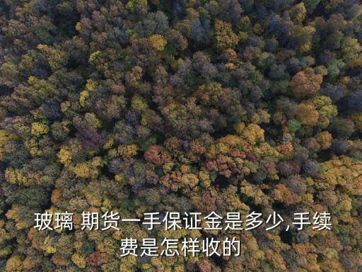  玻璃 期貨一手保證金是多少,手續(xù)費是怎樣收的