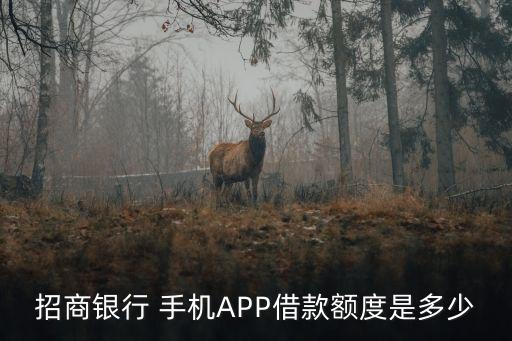 招商銀行 手機(jī)APP借款額度是多少