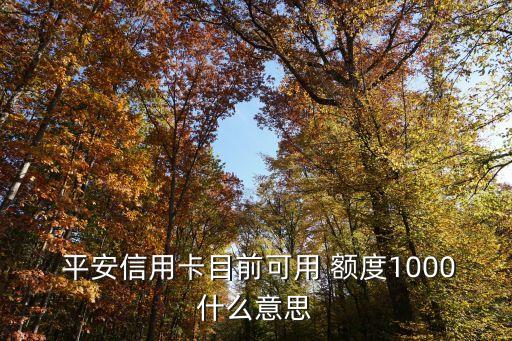 平安車主白金最高額度是多少,平安精英白金信用卡最高額度