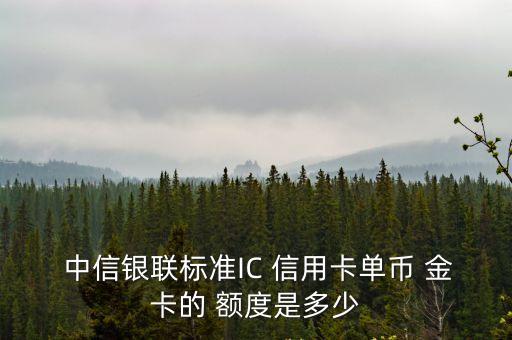  中信銀聯(lián)標準IC 信用卡單幣 金卡的 額度是多少