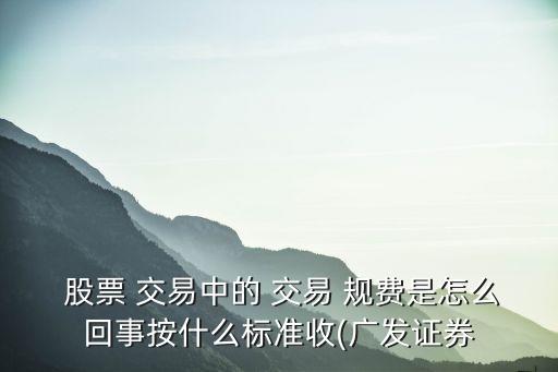 股票交易規(guī)費多少錢,上海市場股票交易的規(guī)費包含