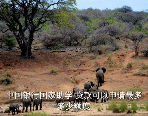 中國銀行國家助學(xué) 貸款可以申請最多多少額度