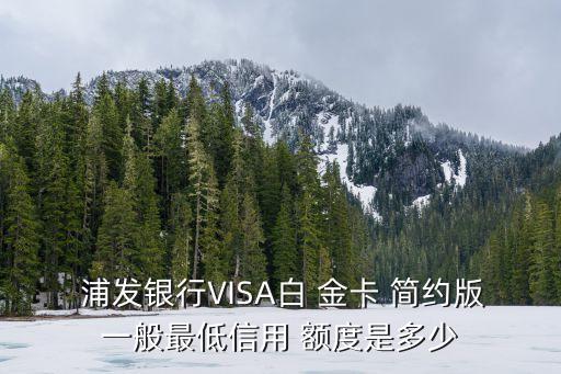  浦發(fā)銀行VISA白 金卡 簡約版一般最低信用 額度是多少