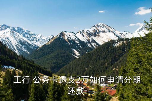 工行公務(wù)卡額度多少,工行預(yù)算單位公務(wù)卡額度
