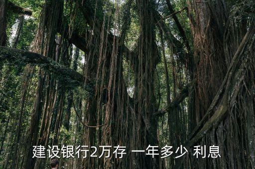 貸兩萬貸一年多少利息是多少錢,網(wǎng)貸兩萬一年利息多少