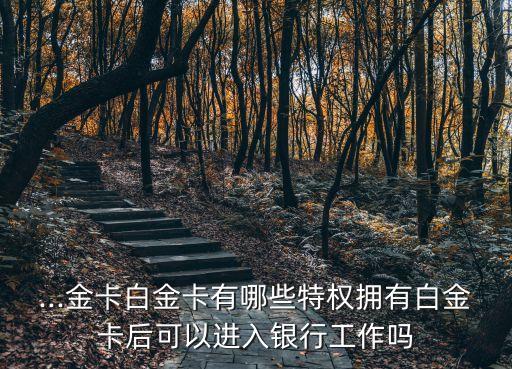 ...金卡白金卡有哪些特權(quán)擁有白金卡后可以進入銀行工作嗎