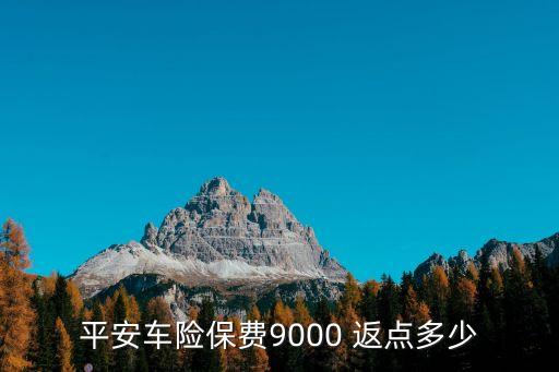 平安車險(xiǎn)保費(fèi)9000 返點(diǎn)多少