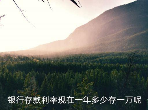  銀行存款利率現(xiàn)在一年多少存一萬呢