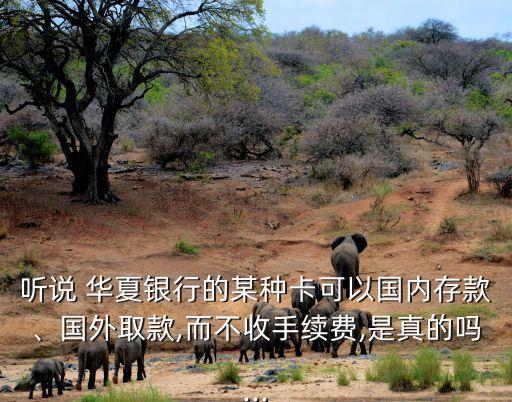 聽說 華夏銀行的某種卡可以國內(nèi)存款、國外取款,而不收手續(xù)費,是真的嗎...