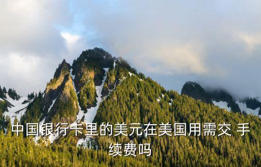 中國銀行卡里的美元在美國用需交 手續(xù)費嗎