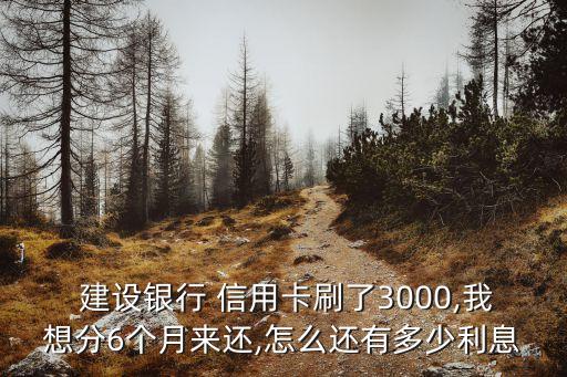  建設(shè)銀行 信用卡刷了3000,我想分6個(gè)月來(lái)還,怎么還有多少利息