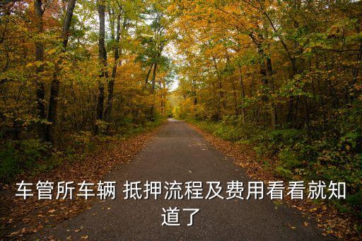 車管所車輛 抵押流程及費(fèi)用看看就知道了