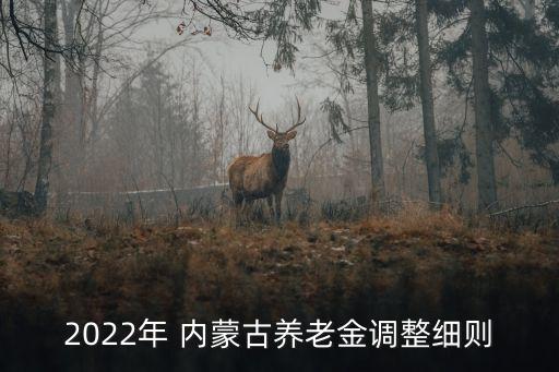 內(nèi)蒙古退休漲多少工資,2022年內(nèi)蒙古退休工資怎么漲