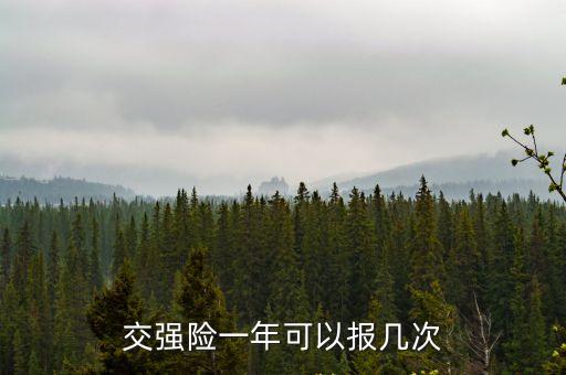 交強(qiáng)險(xiǎn)一年可以報(bào)幾次