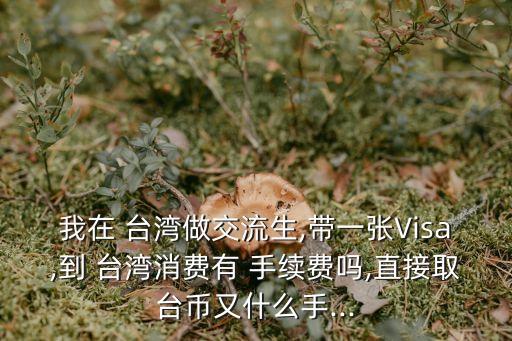 我在 臺(tái)灣做交流生,帶一張Visa,到 臺(tái)灣消費(fèi)有 手續(xù)費(fèi)嗎,直接取臺(tái)幣又什么手...