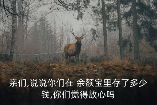 親們,說說你們在 余額寶里存了多少錢,你們覺得放心嗎